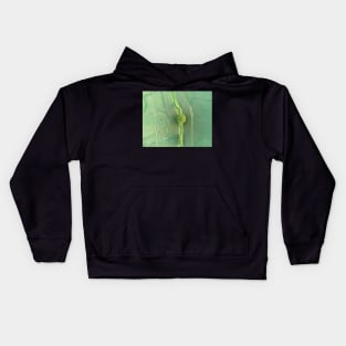 Suffolk Fields #5 Kids Hoodie